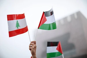 Venezuela iza la bandera de Palestina en lo alto del parque nacional Warairarepano