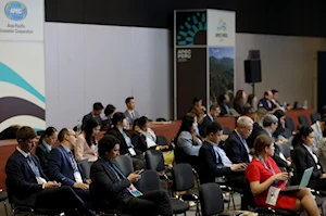 Foro de Cooperación Económica Asia-Pacífico (APEC) 2024