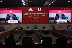 Foro de Cooperación Económica Asia-Pacífico (APEC) 2024