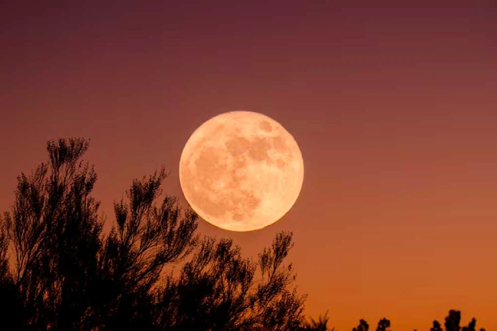 Última superluna de 2024 será visible hoy