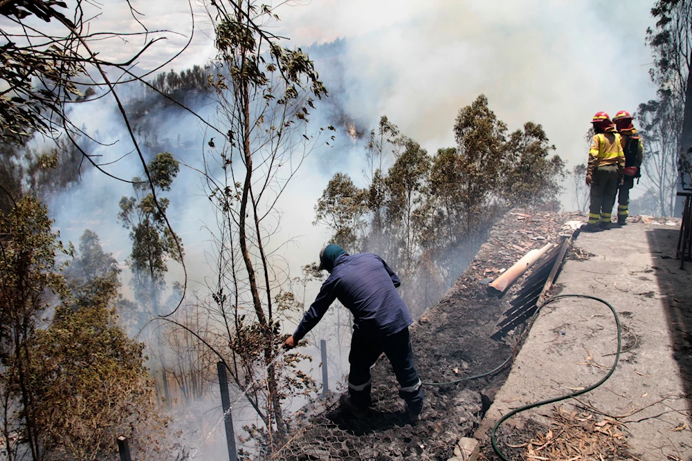 Ecuador registra su peor año por incendios en más de una década