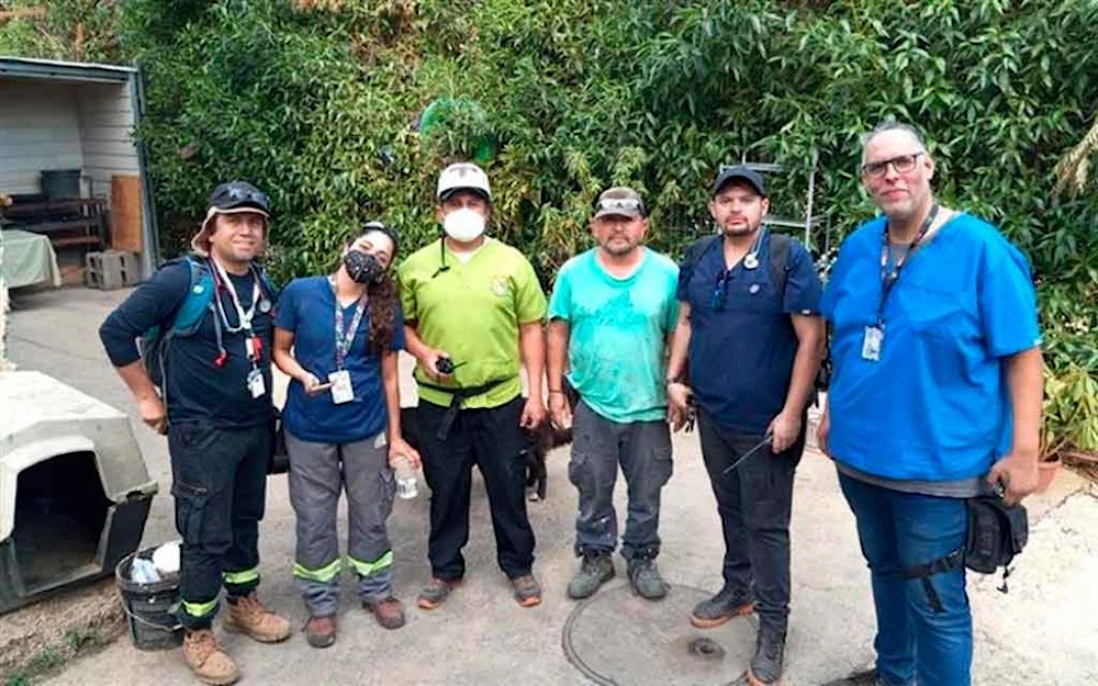 Médicos chilenos expondrán experiencias en I Congreso de la ELAM