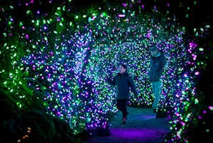 Deslumbrantes decoraciones navideñas iluminan las casas y calles de Canadá: un recorrido visual por la magia de la temporada