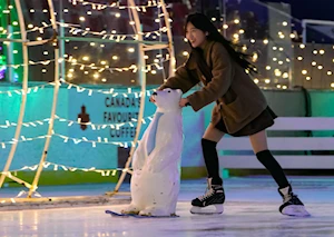 Deslumbrantes decoraciones navideñas iluminan las casas y calles de Canadá: un recorrido visual por la magia de la temporada