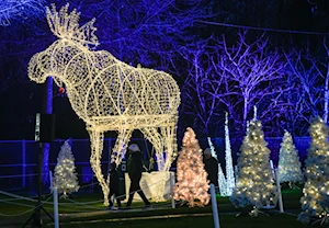 Deslumbrantes decoraciones navideñas iluminan las casas y calles de Canadá: un recorrido visual por la magia de la temporada