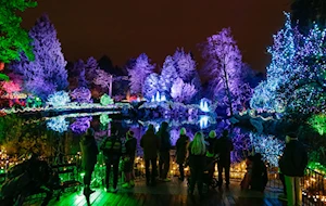 Deslumbrantes decoraciones navideñas iluminan las casas y calles de Canadá: un recorrido visual por la magia de la temporada