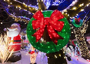 Deslumbrantes decoraciones navideñas iluminan las casas y calles de Canadá: un recorrido visual por la magia de la temporada