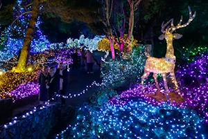 Deslumbrantes decoraciones navideñas iluminan las casas y calles de Canadá: un recorrido visual por la magia de la temporada