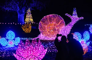 Deslumbrantes decoraciones navideñas iluminan las casas y calles de Canadá: un recorrido visual por la magia de la temporada