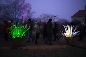 Espectaculares flores de vidrio iluminan el Jardín Botánico de Praga, República Checa, en la exposición 'Crystal Garden'