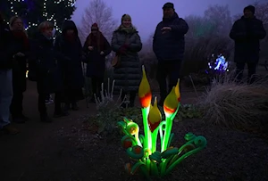 Espectaculares flores de vidrio iluminan el Jardín Botánico de Praga, República Checa, en la exposición 'Crystal Garden'