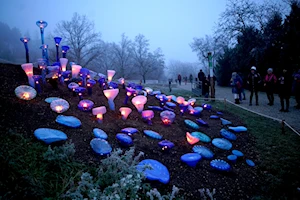 Espectaculares flores de vidrio iluminan el Jardín Botánico de Praga, República Checa, en la exposición 'Crystal Garden'