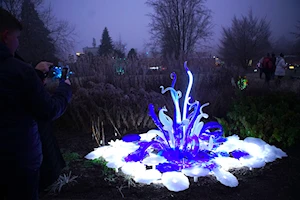 Espectaculares flores de vidrio iluminan el Jardín Botánico de Praga, República Checa, en la exposición 'Crystal Garden'