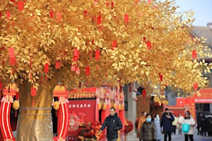 Decoraciones festivas y diversas actividades realizan en China para dar bienvenida al Año Nuevo 2025