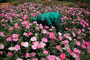 110 aniversario del Rosedal de Buenos Aires, Argentina