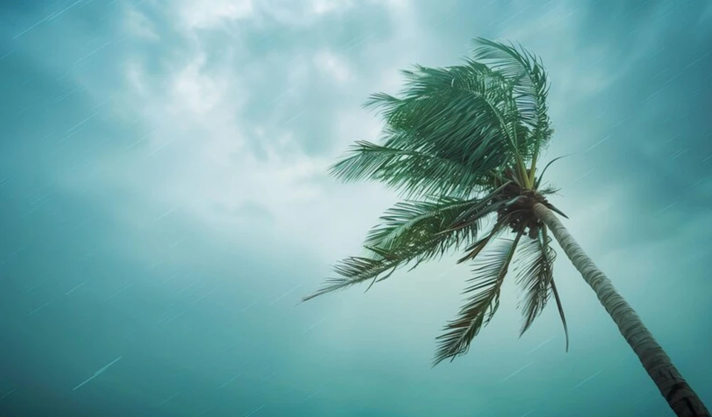 Tormenta tropical Ileana causa destrucciones en México