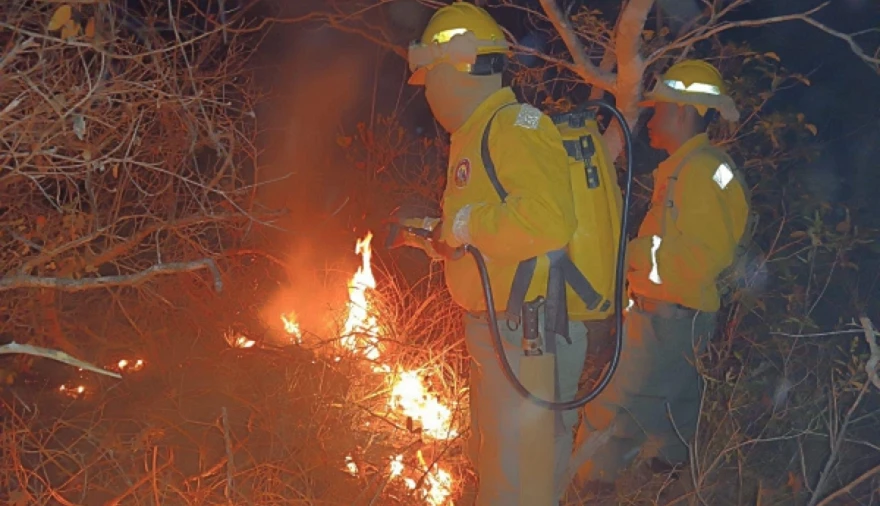 Bolivia reduce los incendios forestales