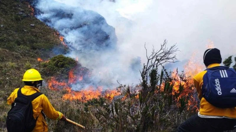 Mancomunidad Amazónica exige declarar emergencia ambiental en Perú