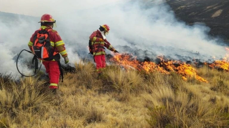 Estado de emergencia en tres regiones de Perú por incendios forestales