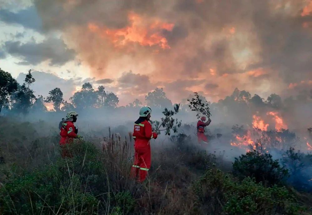 Gobierno de Perú pide a Fiscalía investigar incendios forestales