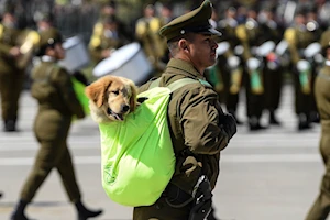 Chile honra a sus Fuerzas Armadas en la tradicional Parada Militar 2024