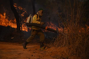 Incendio forestal en el Bosque Nacional de Brasilia