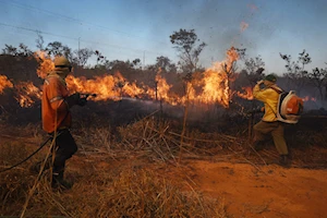 Incendio forestal en el Bosque Nacional de Brasilia