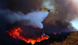 Histórico incendio en Los Ángeles, California  deja al menos 2 víctimas fatales y más de 1.000 estructuras destruidas