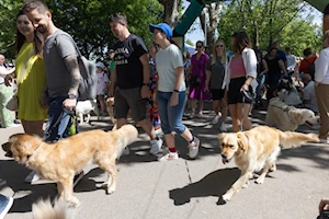 Budapest —capital de Hungría— fue escenario del mayor festival comunitario gratuito para amantes de los perros, donde el vínculo entre humanos y canes se celebró con actividades como baile canino, frisbee y treibball