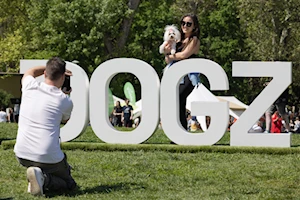 Budapest —capital de Hungría— fue escenario del mayor festival comunitario gratuito para amantes de los perros, donde el vínculo entre humanos y canes se celebró con actividades como baile canino, frisbee y treibball