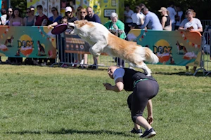 Budapest —capital de Hungría— fue escenario del mayor festival comunitario gratuito para amantes de los perros, donde el vínculo entre humanos y canes se celebró con actividades como baile canino, frisbee y treibball